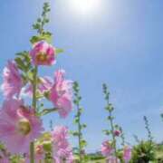 ヒメ日記 2025/08/14 12:49 投稿 かほ 熟女総本店 堺東店