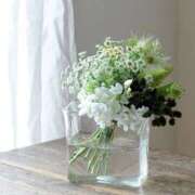 ヒメ日記 2025/08/28 08:09 投稿 かほ 熟女総本店 堺東店