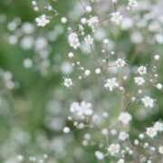 ヒメ日記 2025/08/30 12:19 投稿 かほ 熟女総本店 堺東店