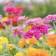 ヒメ日記 2025/09/09 13:39 投稿 かほ 熟女総本店 堺東店