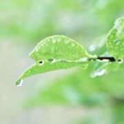 ヒメ日記 2025/09/11 07:39 投稿 かほ 熟女総本店 堺東店