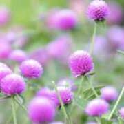 ヒメ日記 2025/09/13 06:59 投稿 かほ 熟女総本店 堺東店