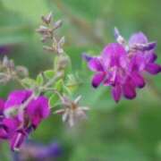 ヒメ日記 2025/09/20 08:19 投稿 かほ 熟女総本店 堺東店