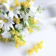 ヒメ日記 2025/09/23 12:59 投稿 かほ 熟女総本店 堺東店