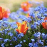 ヒメ日記 2025/09/27 15:59 投稿 かほ 熟女総本店 堺東店