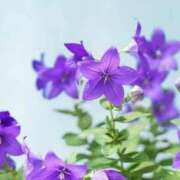 ヒメ日記 2025/09/28 09:19 投稿 かほ 熟女総本店 堺東店