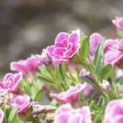 ヒメ日記 2025/10/07 12:39 投稿 かほ 熟女総本店 堺東店