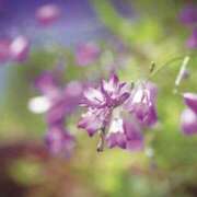 ヒメ日記 2025/10/09 10:49 投稿 かほ 熟女総本店 堺東店