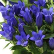 ヒメ日記 2025/10/19 07:59 投稿 かほ 熟女総本店 堺東店