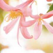 ヒメ日記 2025/11/04 13:29 投稿 かほ 熟女総本店 堺東店