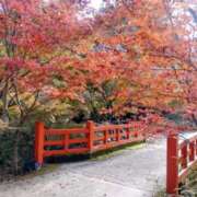 ヒメ日記 2025/11/08 16:39 投稿 かほ 熟女総本店 堺東店