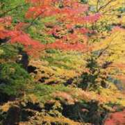 ヒメ日記 2025/11/11 15:59 投稿 かほ 熟女総本店 堺東店