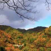 ヒメ日記 2025/11/15 14:49 投稿 かほ 熟女総本店 堺東店