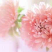 ヒメ日記 2025/11/16 08:49 投稿 かほ 熟女総本店 堺東店