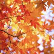 ヒメ日記 2025/11/29 15:49 投稿 かほ 熟女総本店 堺東店