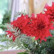 ヒメ日記 2025/12/20 13:19 投稿 かほ 熟女総本店 堺東店