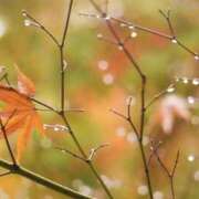 ヒメ日記 2025/12/21 07:09 投稿 かほ 熟女総本店 堺東店