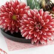 ヒメ日記 2026/01/03 11:49 投稿 かほ 熟女総本店 堺東店