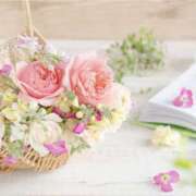 かほ こんにちは 熟女総本店 堺東店