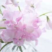 ヒメ日記 2026/01/17 12:49 投稿 かほ 熟女総本店 堺東店