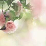 ヒメ日記 2026/01/20 13:59 投稿 かほ 熟女総本店 堺東店