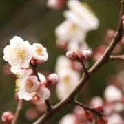 ヒメ日記 2026/02/01 07:29 投稿 かほ 熟女総本店 堺東店