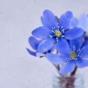 ヒメ日記 2026/02/17 14:39 投稿 かほ 熟女総本店 堺東店