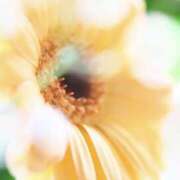 ヒメ日記 2026/02/22 07:49 投稿 かほ 熟女総本店 堺東店