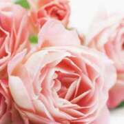 かほ こんにちは 熟女総本店 堺東店