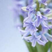 ヒメ日記 2026/03/05 15:39 投稿 かほ 熟女総本店 堺東店