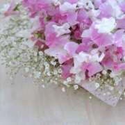 ヒメ日記 2026/03/17 15:09 投稿 かほ 熟女総本店 堺東店