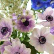 ヒメ日記 2026/03/26 14:19 投稿 かほ 熟女総本店 堺東店