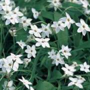 ヒメ日記 2026/03/31 16:49 投稿 かほ 熟女総本店 堺東店