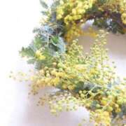 ヒメ日記 2026/04/11 16:09 投稿 かほ 熟女総本店 堺東店