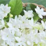 ヒメ日記 2026/04/14 16:19 投稿 かほ 熟女総本店 堺東店