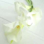 かほ こんにちは 熟女総本店 堺東店