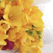 かほ おはようございます 熟女総本店 堺東店