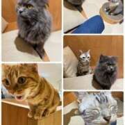 ヒメ日記 2025/01/13 19:21 投稿 さきこ 熟女総本店