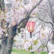 ヒメ日記 2025/04/07 06:15 投稿 さきこ 熟女総本店