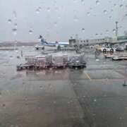 ヒメ日記 2025/04/14 20:35 投稿 さきこ 熟女総本店