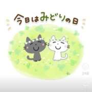 ヒメ日記 2025/05/04 23:25 投稿 さきこ 熟女総本店