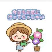 ヒメ日記 2025/07/31 07:06 投稿 さきこ 熟女総本店