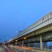 ヒメ日記 2025/11/05 06:25 投稿 さきこ 熟女総本店