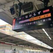 ヒメ日記 2026/03/22 07:52 投稿 さきこ 熟女総本店