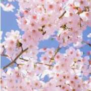 ヒメ日記 2026/04/03 08:02 投稿 さきこ 熟女総本店