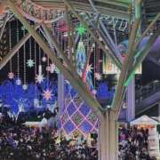 ヒメ日記 2024/12/08 20:35 投稿 みさと 待ちナビ