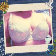 ヒメ日記 2024/12/10 07:55 投稿 みさと 待ちナビ