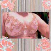 ヒメ日記 2024/12/11 08:06 投稿 みさと 待ちナビ