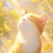 ヒメ日記 2024/12/13 13:25 投稿 みさと 待ちナビ