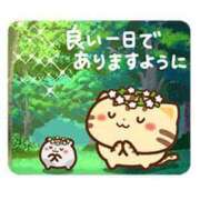 ヒメ日記 2024/12/23 07:27 投稿 みさと 待ちナビ